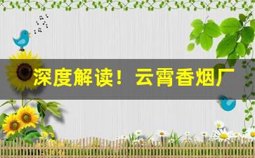 深度解读！云霄香烟厂家一手渠道“付诸阙如”