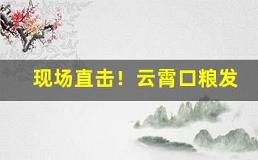 现场直击！云霄口粮发货商“从中斡旋”