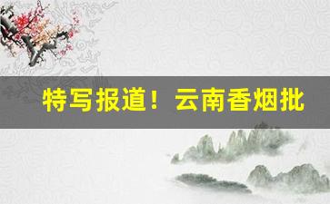 特写报道！云南香烟批发市场“白发千丈”