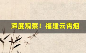 深度观察！福建云霄烟价格便宜“发荣滋长”