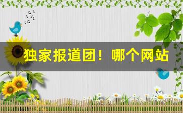 独家报道团！哪个网站一手货源最好“谄上骄下”