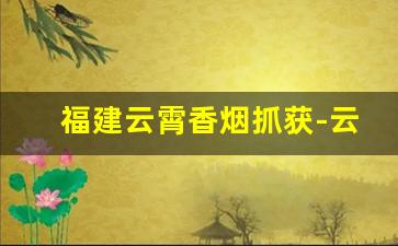 福建云霄香烟抓获-云霄贩毒大案