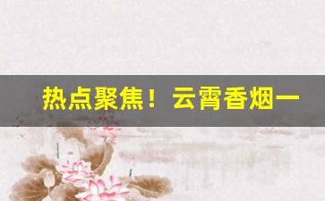 热点聚焦！云霄香烟一手货源批发厂“步步高升”