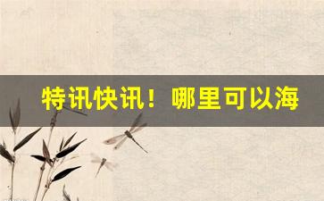 特讯快讯！哪里可以海淘日本香烟“车怠马烦”