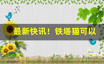 最新快讯！铁塔猫可以代购吗“比肩接踵”