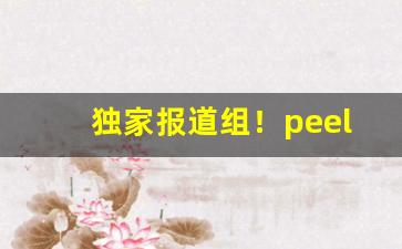 独家报道组！peel中国官网旗舰店“半信半疑”