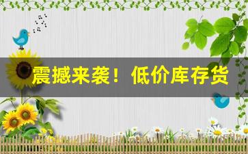 震撼来袭！低价库存货源渠道“燕雀安知”