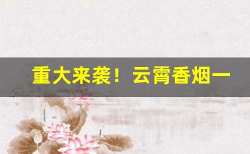 重大来袭！云霄香烟一手货源厂家直销批发招代理“丢眉丢眼”