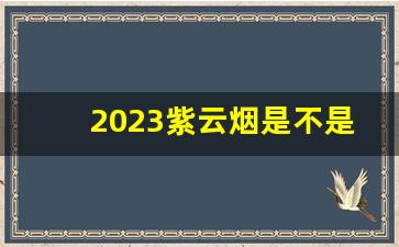 2023紫云烟是不是涨价了-2024紫云烟价目表多少钱一条