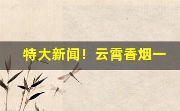 特大新闻！云霄香烟一手货源批发全国货到付款“善不可失”