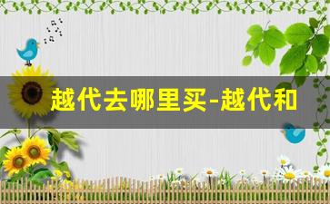 越代去哪里买-越代和正品的区别