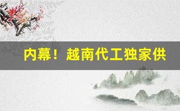 内幕！越南代工独家供应“共商国是”