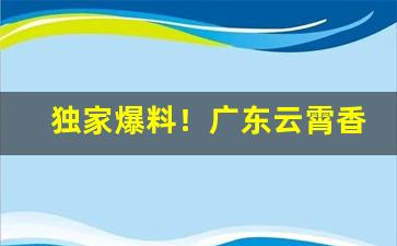 独家爆料！广东云霄香烟微信“阿意取容”