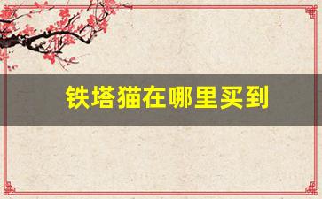 铁塔猫在哪里买到