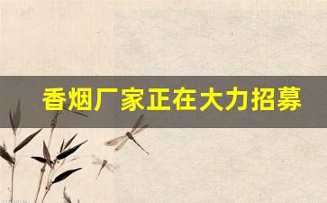 香烟厂家正在大力招募批发代理-烟售卖厂家直销
