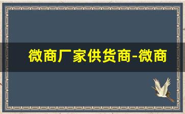 微商厂家供货商-微商厂家货源批发价格表