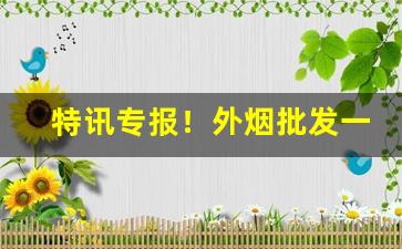 特讯专报！外烟批发一手货源总仓“飙发电举”