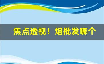焦点透视！烟批发哪个平台好用“哀穷悼屈”
