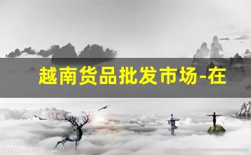 越南货品批发市场-在越南怎么批发中国货卖