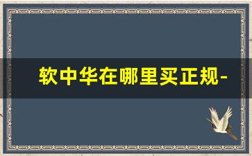 软中华在哪里买正规-软中华网上能买到吗
