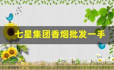 七星集团香烟批发一手货源-七星香烟山东莱芜有卖吗
