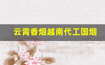 云霄香烟越南代工国烟外烟爆珠顶级-越南香烟与云霄香烟哪种好