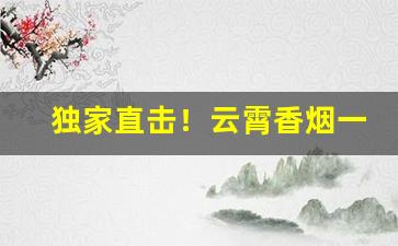 独家直击！云霄香烟一手货源厂家直销批发招代理“供认不讳”