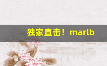 独家直击！marlboro草莓哪里买“不分轩轾”