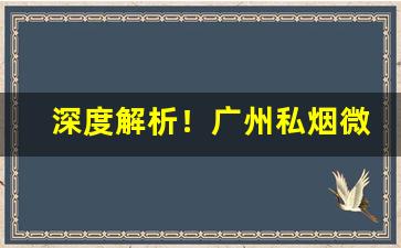 深度解析！广州私烟微信号“才兼万人”