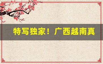 特写独家！广西越南真正代工烟“健康长寿”
