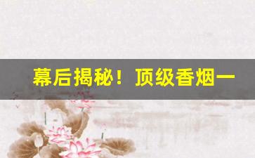 幕后揭秘！顶级香烟一手货源联系方式“根深蔕固”