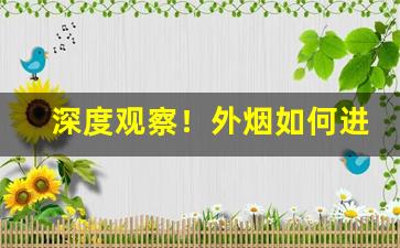 深度观察！外烟如何进口“谗口铄金”