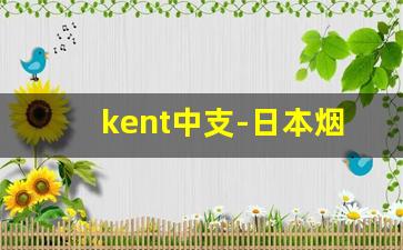 kent中支-日本烟kent10多少钱