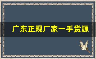 广东正规厂家一手货源-专业生产厂家一手货源基地