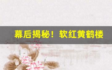 幕后揭秘！软红黄鹤楼批发价“对症用药”