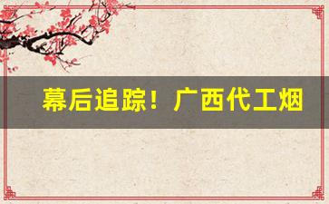 幕后追踪！广西代工烟草越南烟厂家批发直销“宾来如归”