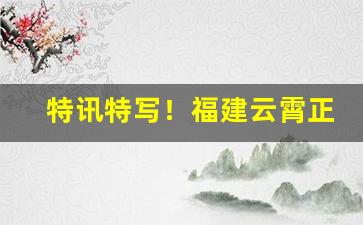 特讯特写！福建云霄正品精仿烟价格表“白天见鬼”