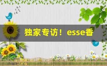 独家专访！esse香烟哪里有卖“刚中柔外”