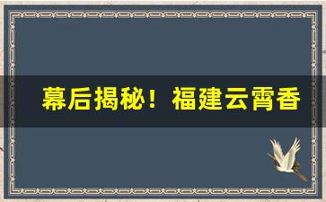 幕后揭秘！福建云霄香烟市场在哪里“拔十得五”