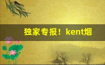 独家专报！kent烟紫冰多少钱一包“持权合变”