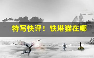 特写快评！铁塔猫在哪里能买得到“当世才具”