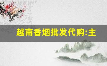 越南香烟批发代购:主打正品广西出口回流外烟-越南烟批发图片