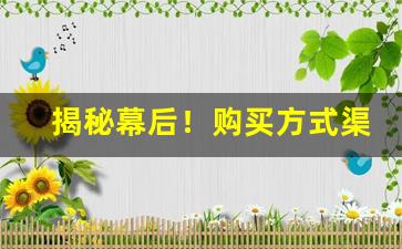 揭秘幕后！购买方式渠道“八面威”