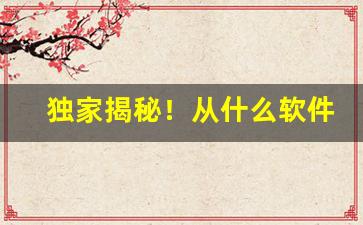 独家揭秘！从什么软件上可以买到烟“补天浴日”