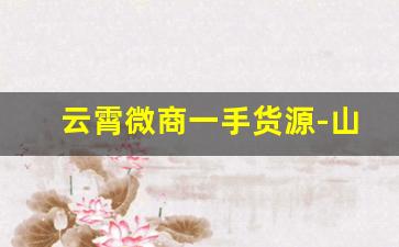 云霄微商一手货源-山东微商货源供应商