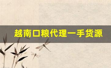 越南口粮代理一手货源-进口口粮大全图片