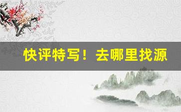 快评特写！去哪里找源头供应商“超羣出众”