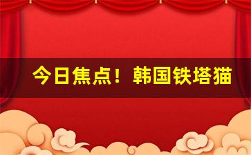 今日焦点！韩国铁塔猫官网“趁人之危”