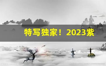 特写独家！2023紫云烟批发价格“瞪眉瞠眼”