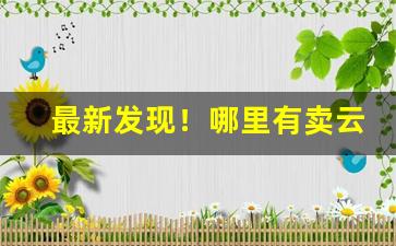 最新发现！哪里有卖云霄货的烟“奔轶绝尘”